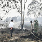 Tiga Perintah Jokowi Kepada BNPB Terkait Penanganan Kebakaran Hutan di Riau