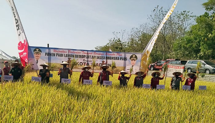Dandim 0803 Madiun bersama Walikota Madiun Drs. H. Maidi, melaksanakan panen padi