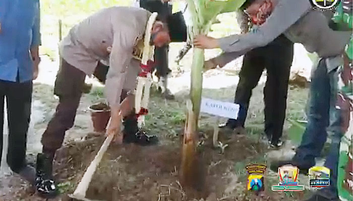 Kapolres Sumenep AKBP Darman launching “Pisang Tangguh” di Desa Ketawang.
