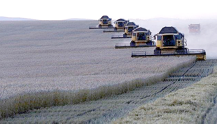 Rusia siap ekspor 30 juta gandum untuk memenuhi kebutuhan global.