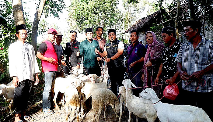 Sisihkan Gaji, Legislator Ubaidillah Gelontor Ratusan Ternak Untuk Masyarakat Bondowoso