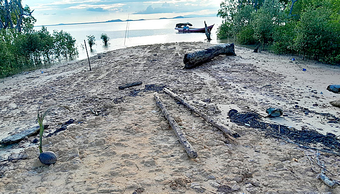 DPC TBBR Pulau Nunukan Sesalkan Adanya Pembabatan Mangrove di Tanjung Cantik