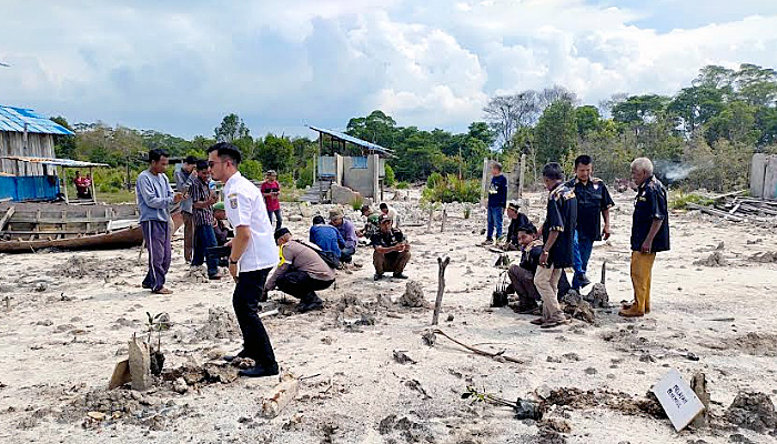 Aktivis Lingkungan Dumai dan Masyarakat Penempul Peringati HUT RI Ke - 79 Dengan Menanam 1.000 Mangrove