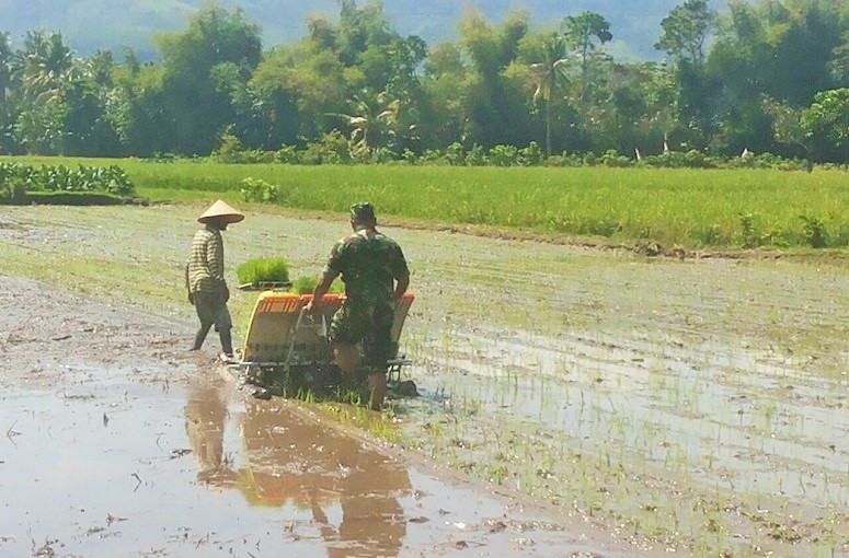 Pendampingan Percepatan Tanam/Foto nusantaranews