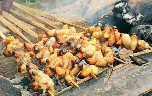 Sate Ulat Sagu/Foto Istimewa/fakhrulaslamy_