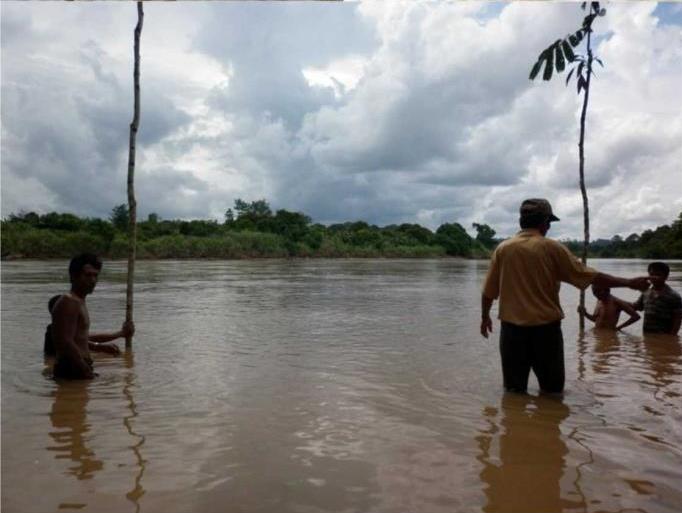 Prosesi Ritual Bedolob Suku Dayak Agabag Dengan Menancapkan dua batang kayu rambutan hutan/Foto Addy Santri