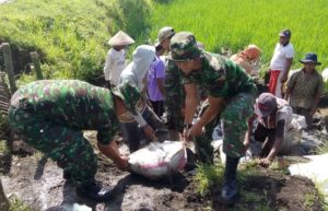 aktivitas mengangkut karung berisi pasir untuk perbaikan tanggul yang jebol