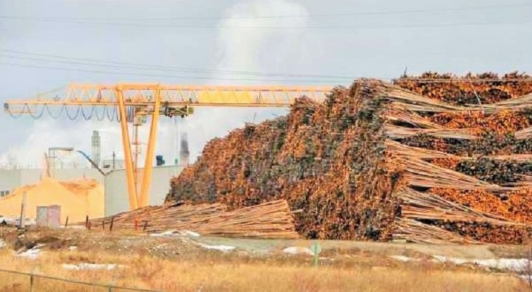 Industri pulp dan kertas di Indonesia/Foto: Dok. Katadata