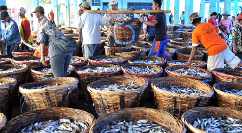 Tempat pelelangan ikan hasil penangkapan dari laut. Foto Ilustrasi