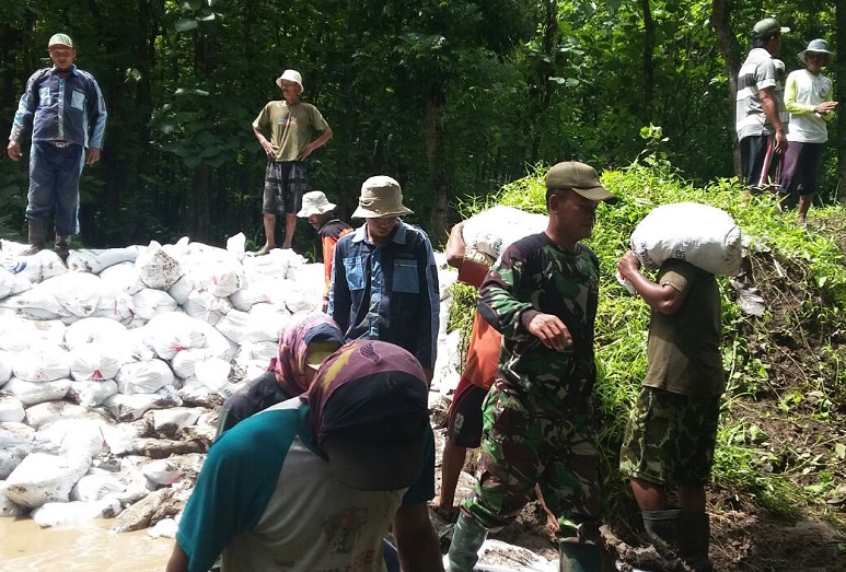 Danramil 0824/23 Wuluhan bersama KA UPT Pengairan Wuluhan dan masyarakat melakukan perbaikan tanggul. Foto Sis/Nusantaranews