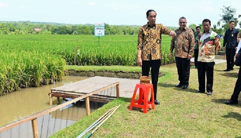 Menteri Desa Eko Putro Sandjojo bersama Presiden Jokowi meninjau pembangunan di Desa Tani Bakti, Kecamatan Samboja, Kabupaten Kutai Kartanegara, Kalimantan Timur/Foto Humas Kemendesa (Wahyu Wening)