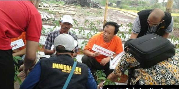 Salah satu WNA Cina saat reka ulang menanam cabai berbakteri berbahaya di lahan terpencil di Bogor. Foto Romdhoni/Radar Bogor