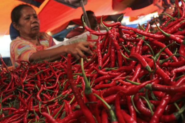 Harga Cabai melambung tinggi. Foto via bisnis