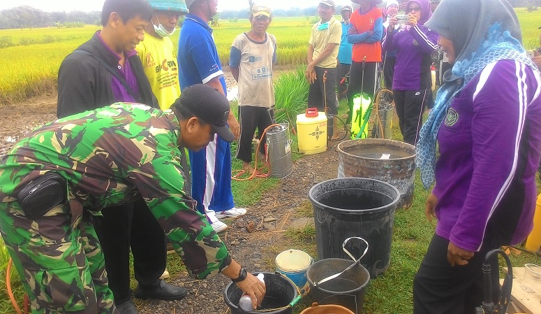 Jajaran TNI, Petani bersama PPL/Foto Nurcholis/Nusantaranews