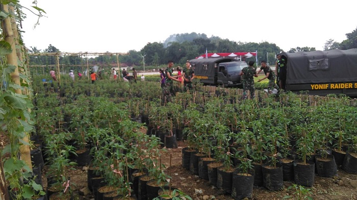 Penyerahan bibit terong dan cabai di Cyti Forres & Farm milik HM Arum Sabil, Jember, Jum’at (24/3/2017)/Foto Sis24