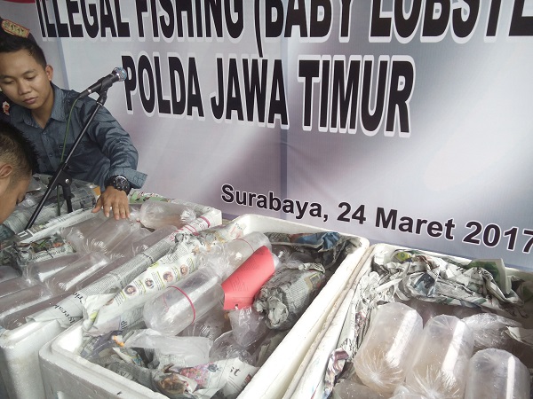 Polda Jatim Ungkap Ilegal Fishing/Foto Tri Wahyudi