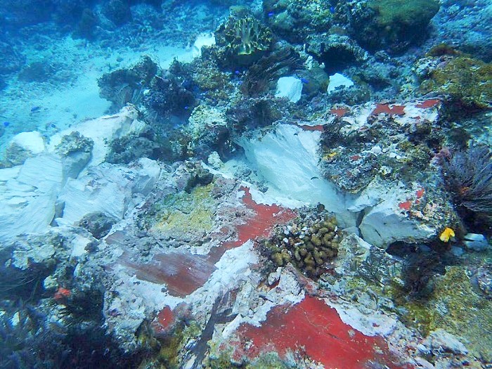 Kondisi Karang Raja Ampat yang rusak akibat tubrukan Kapal Pesiar Inggris/Foto: Dok. DetikTravel