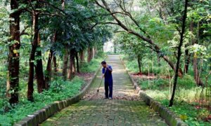 Pekerja sedang memberishkan Hutan Kota Srengseng Jakarta Barat | libregraphics.asia