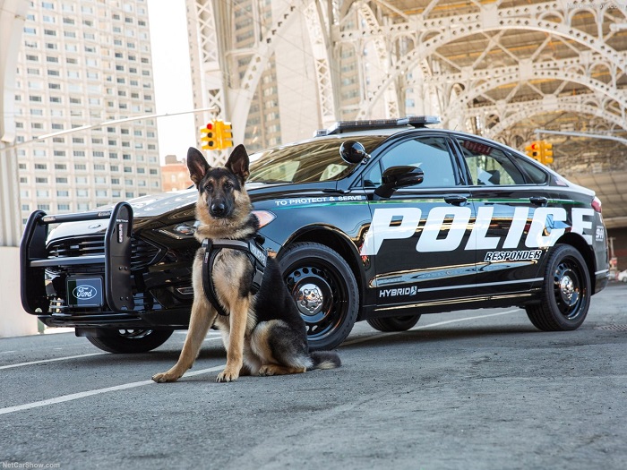 Police Responder Hybrid. Foto: netcarshow.com