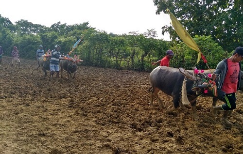 Tradisi Lombe, Mutiara Terpendam Kepulauan Kangean. Foto Kartika, Ulum, Irfan