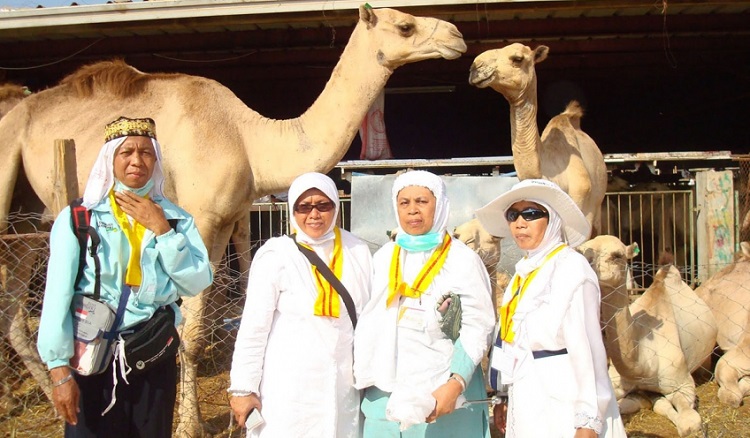 Jamaah Haji Selfi dengan Unta/Foto via gomuslim/Nusantaranews