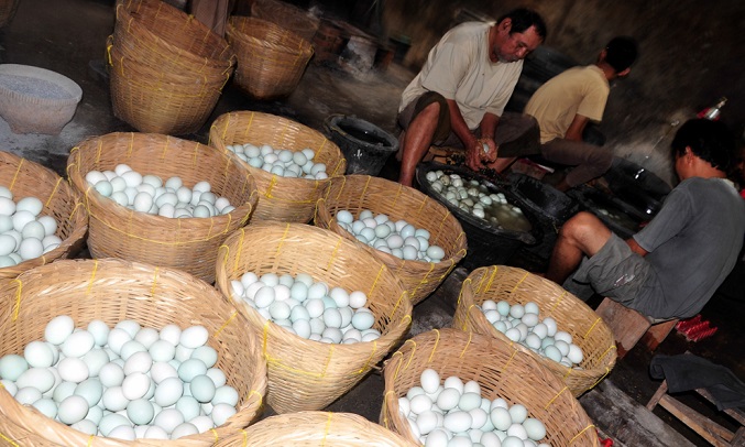 Sejumlah pekerja membersihkan telor asin di rumah industri telor asin Desa Pesantunan, Brebes, Jateng, Selasa (22/7). Selama Ramadhan, produksi telor asin meningkat hingga 70 persen dan harga telor asin naik dari Rp 3200 per butir menjadi Rp 3600 perbutir (telor asin rebus) dan Rp 3800 per butir (telor asin panggang). Foto: Dok. ANTARA FOTO/Oky Lukmansyah