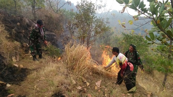 Anggota TNI dan Perhutani memadamkan api dalam kebakaran hutan di Ponorogo. (Foto : Muh Nurcholis)