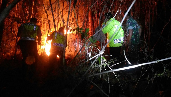 Personil TNI dan Polri Ponorogo berusaha memadamkan kobaran api di hutan ponorogo yang terbakar pada Ahad (10/9). (Foto: Muh Nurcholis/NusantaraNews)