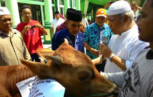 Menteri PUPR, Basuki Hadimuljono usai Sholat Idul Adha. Foto: Dok. Humas KemenPUPR