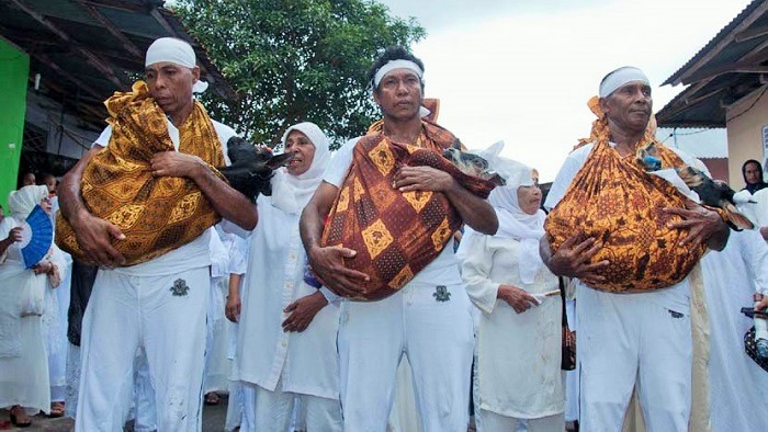 Tokoh Adat Masyarakat Desa Tuhehu, Ambon, Maluku menggendong hewan ternak sebagai Kurban. Foto: Dok. (Embong Salampessy/Antara