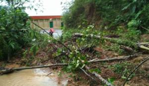 Longsoran tanah di di perempatan Mbaran RT. 04/04 Dsn. Mbarak Ds. Cokrokembang Kec. Ngadirejo Kab. Pacitan. Foto Dim01