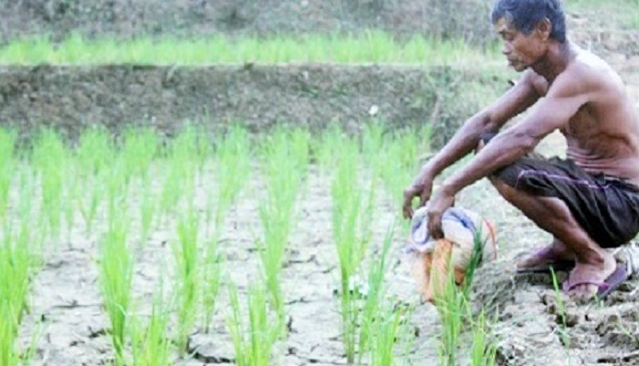 Petani. (Foto: Dok. Radar Karawang)