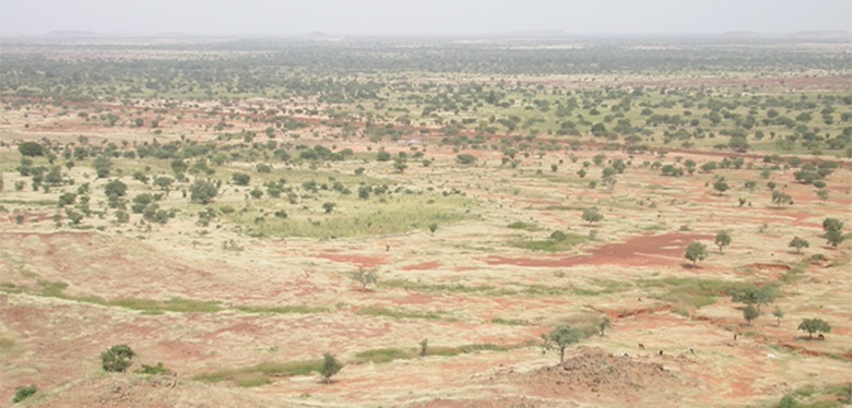 Tanah kering di wilayah Sahel di Afrika Barat. (Foto: environewsnigeria.com)