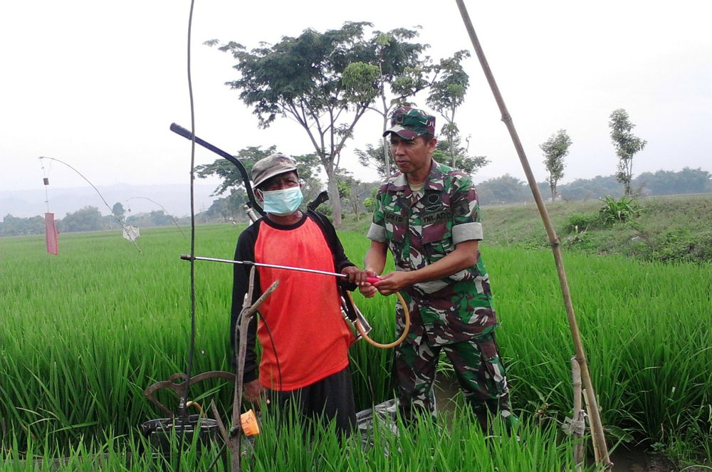 Kodim 0809/Kediri atau 16/Papar, saat memberdayakan alsintan jenis transplanter di tengah-tengah berjalannya roda sektor pertanian di Kediri. Foto: Dok. Penrem