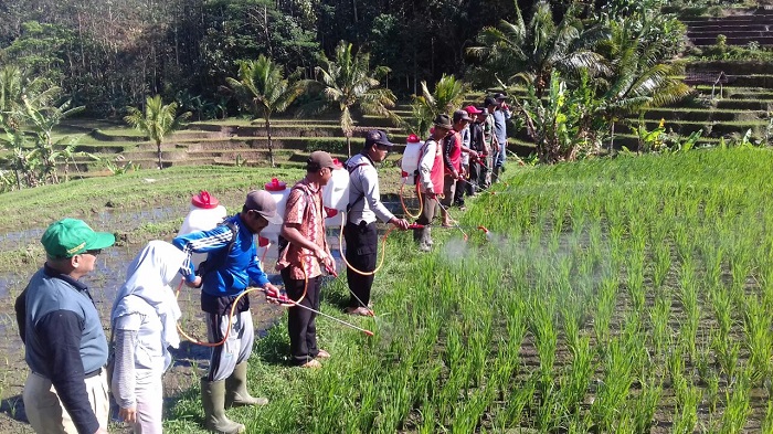 TNI-Petani Ponorogo Lakukan Gerakan Penyemprotan Massal POC. Foto Muh Nurcholis/ NusantaraNews