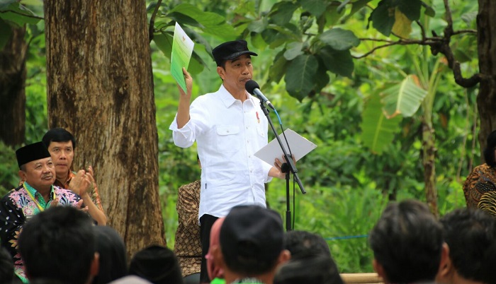 Presiden RI, Joko Widodo saat penyerahan Serifikat Izin Pengelolaan Hutan di Desa Wungu, Kab. Madiun. Foto: Dok. Istimewa/ Yudie