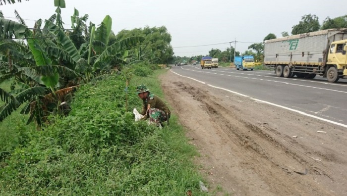 Kodim Mojokerto Sulam Pohon Ruas Jalan Nasional. Foto: Dok. CPYJ/ NusantaraNews