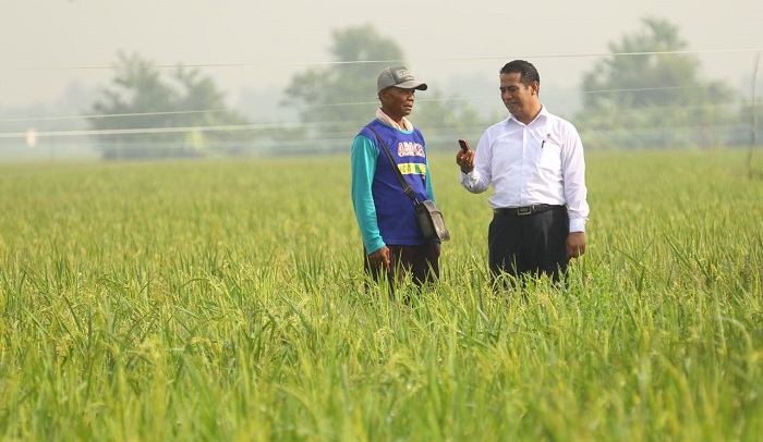 Menteri Pertanian Andi Amran Sulaiman bersama petani. Foto: Dok. Kementan