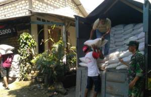 Kodim 0812 Lamongan melalui Koramil dan jajarannya terus melakukan pengawalan pendistribusian pupuk dan bibit kepada para petani. Foto: Dok. Kodim Lamongan