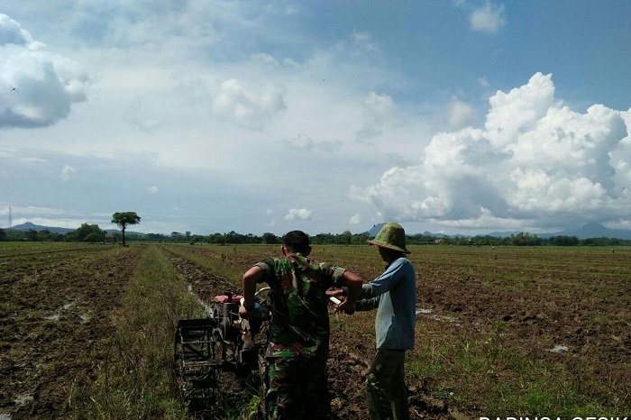 Aksi Babinsa 0807/10 Mendukung Swasembada Pangan Nasional. Foto: Md 0807/ NusantaraNews