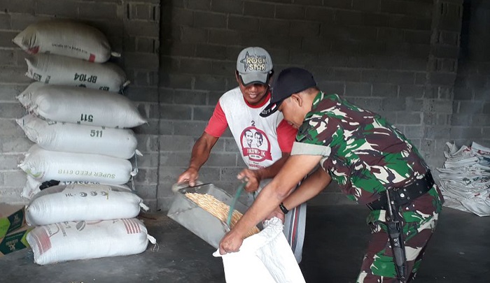 Babinsa Desa Batokan Serda Nurchodim melakukan pembinaan di tempat penggilingan jagung. Foto Istimewa/ Md0807