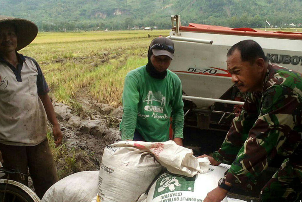 Serda Muhrodin bersama kelompok tani Sukses, melaksanakan kegiatan panen padi di lokasi sawah Desa Ngepeh, seluas 40 Ha.