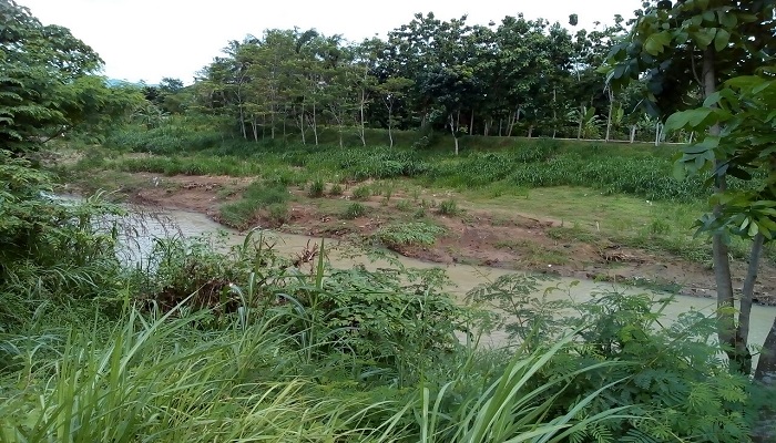 Sungai Serang di Kabupaten Kulon Progo