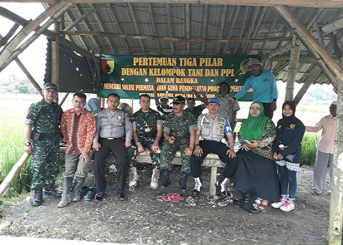 Babinsa, Penyuluh Pertanian Lapangan (PPL), 3 Pilar dan Kelompok Tani Makmur Sukowono Jember menggelar musyawarah dan komunikasi sosial (Komsos). Foto: Sis/NusantaraNews