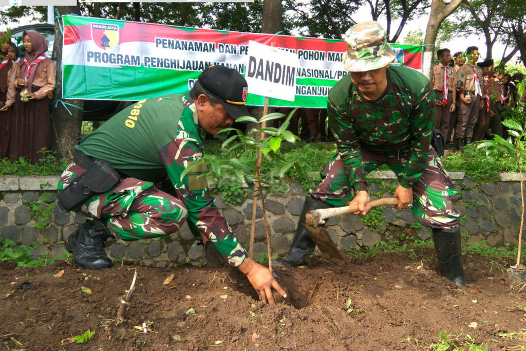 Nganjuk Hijaukan Jalan Protokol. Foto: Istimewa