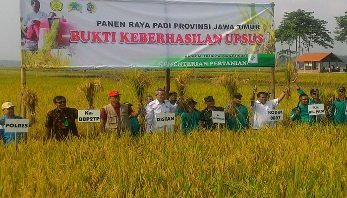 Panen Raya Padi di Tulungagung. Foto: Istimewa/Dok.NusantaraNews