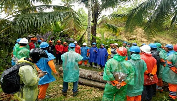 PT Perusahaan Listrik Negara (PLN) Distribusi Jawa Timur meninjau lokasi Tower SUTT di Pacitan yang ronoh. Foto: Dok. Istimewa