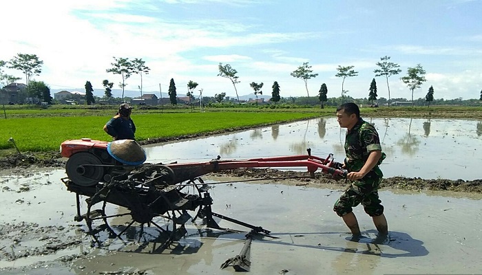 Babinsa membantu petani bajak sawah. Foto: Istimewa