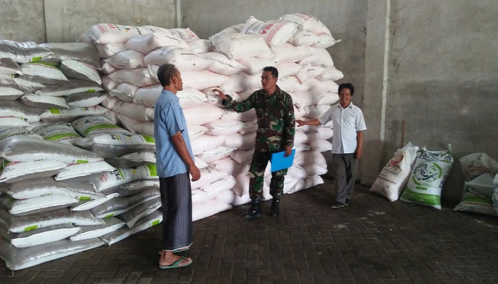 Babinsa Koramil 0812/ 02 Deket Sertu Yuli mengecek subsidi pupuk di kios pengecer di Lamongan, Jawa Timur. Foto: Istimewa