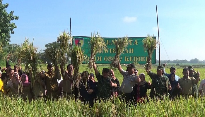 Sejumlah pejabat Kabupaten Kediri mengikuti pembukaan panen raya padi di lahan milik Kelompok Tani Mulyono di Desa Sidomulyo, Kediri, Selasa 20 Fabruari 2018. (Foto: Istimewa)